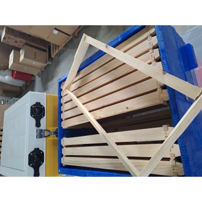 Méhkaptár , szimpla 10 fa kerettel