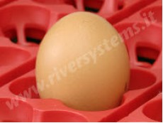 ET 24 , EggTech 24 tojásos automata keltető